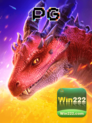 Recursos App WIN222